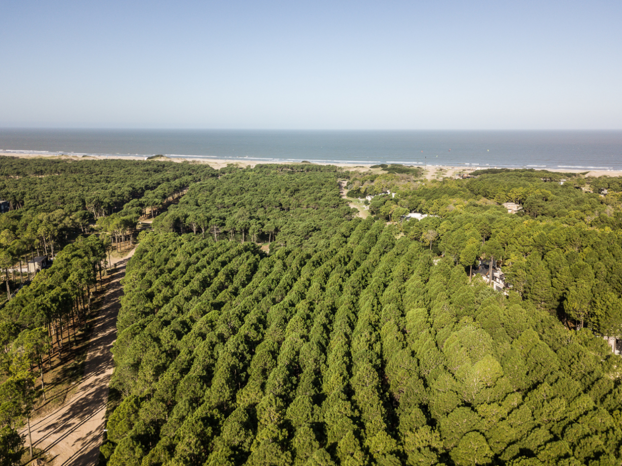 CASA EN VENTA PINAMAR NORTE