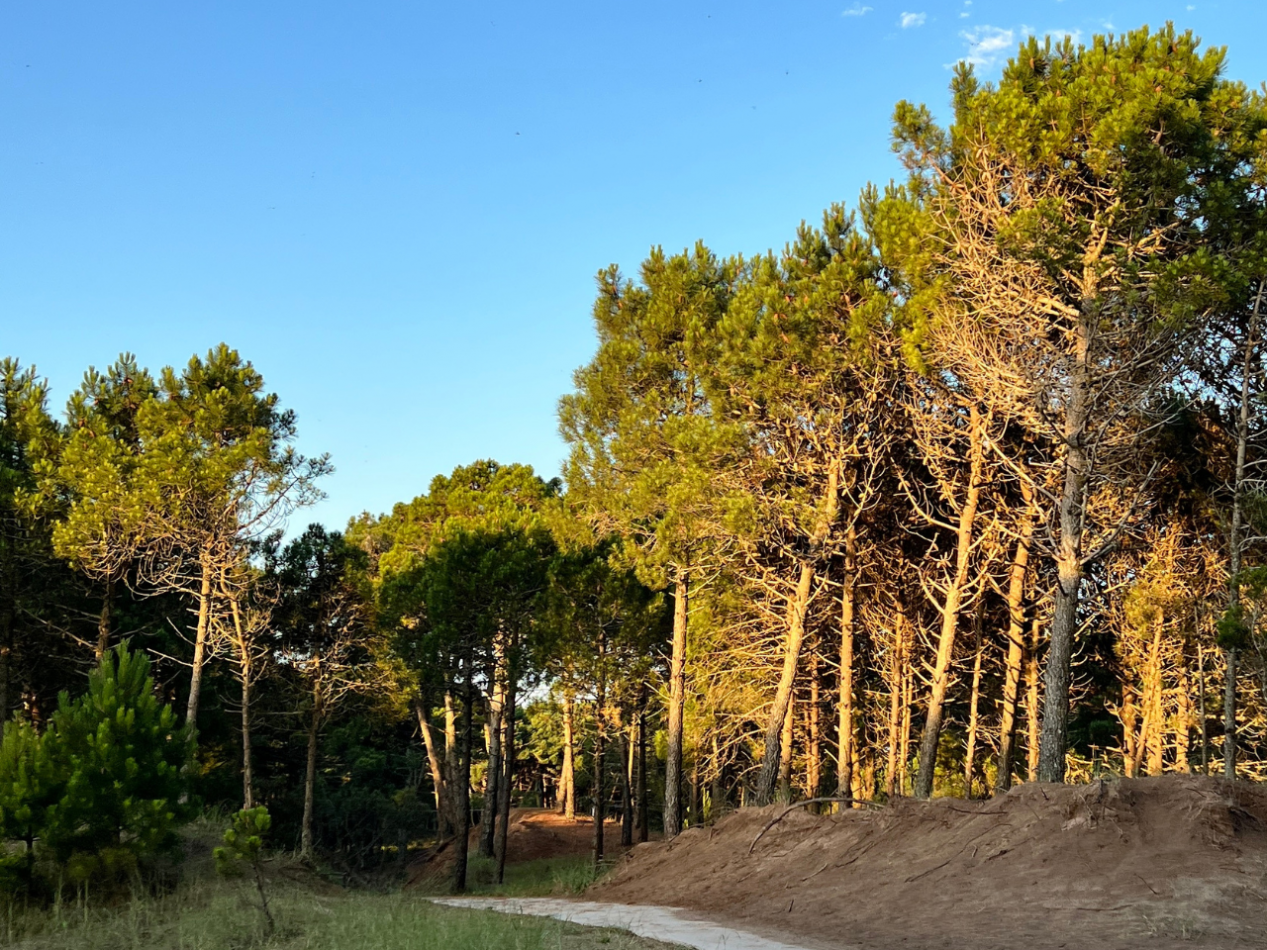 CASA EN VENTA PINAMAR NORTE