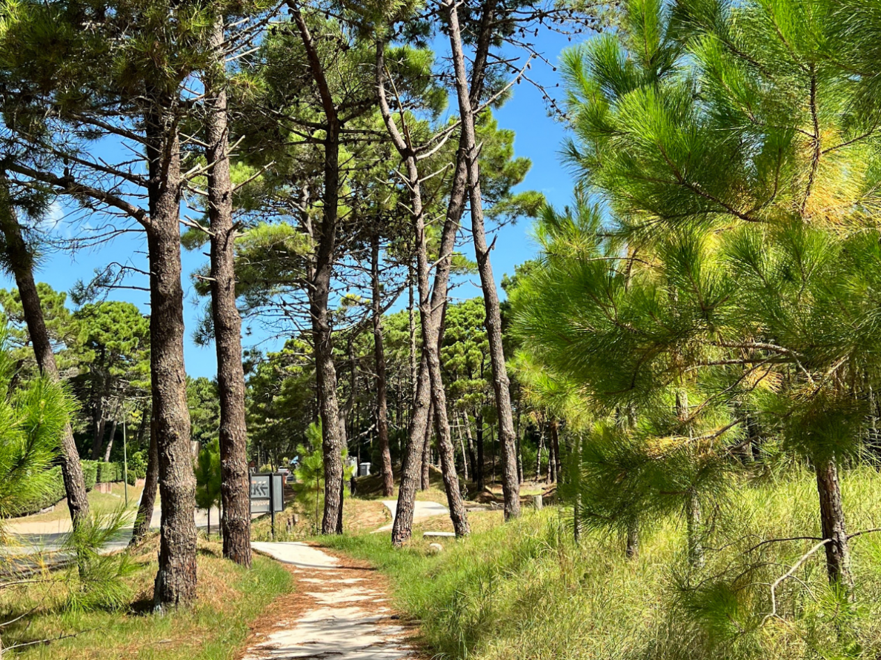 CASA EN VENTA PINAMAR NORTE